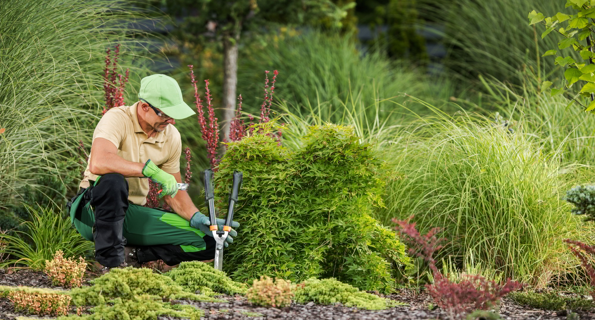 Professional Gardener with Garden Pruning and Cutting Tools